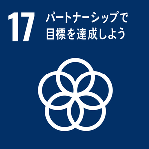 17 目標を達成しようパートナーシップで