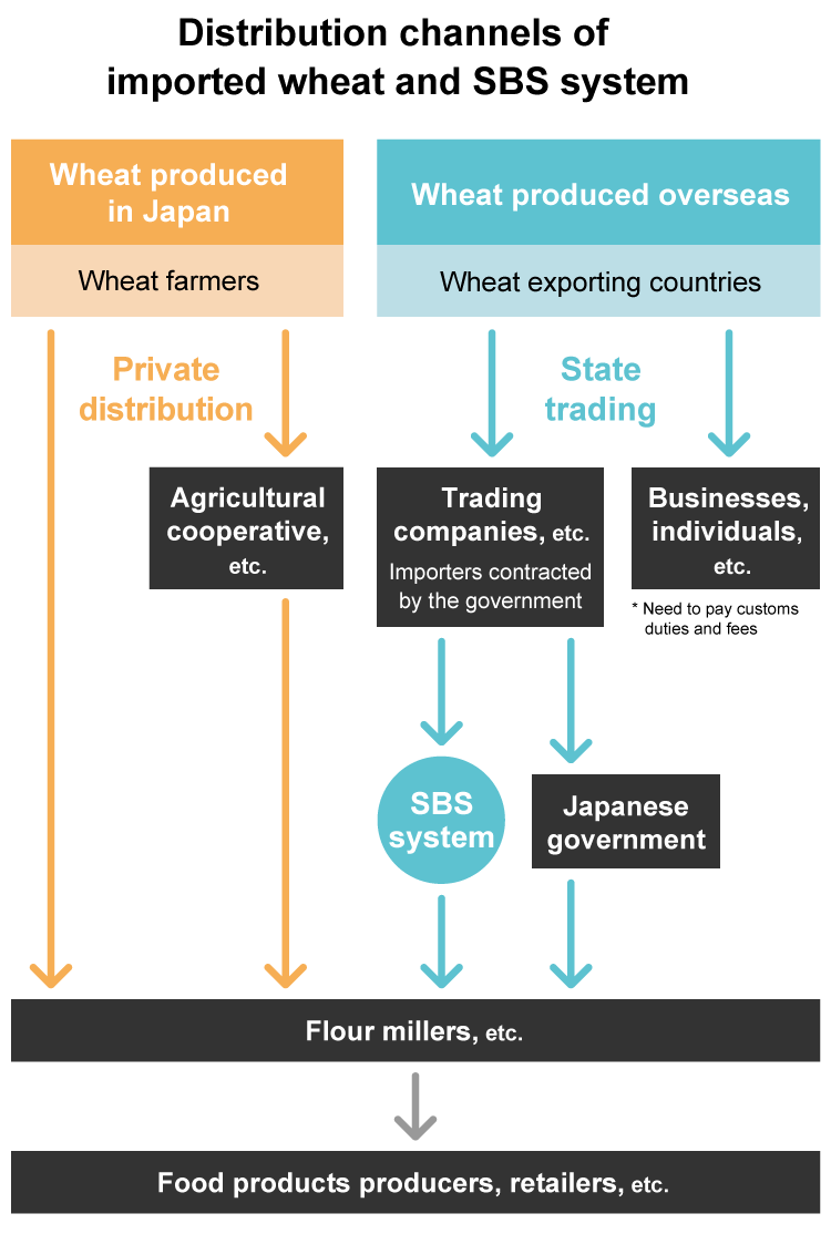 Distribution channels of imported wheat and SBS system